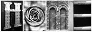 Wall_Art_Alphabet_Photography_Art_ 833
